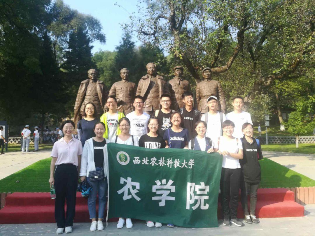 探讨生活点滴,畅享天涯问答螃蟹用什么呼吸