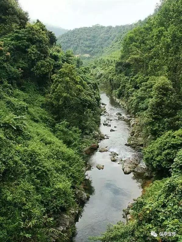 脑洞小老弟无实名认证